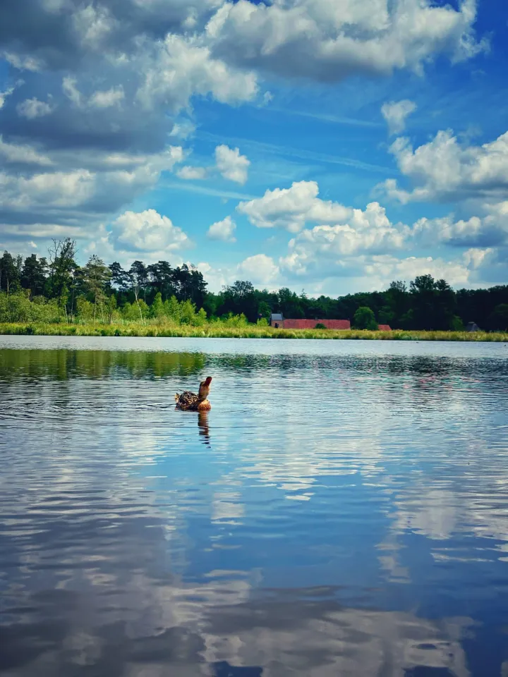 Lassen Sie die ErfgoedApp Entscheiden: Die Bumerang-Tour für endlose Wanderinspiration